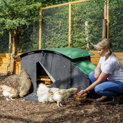 Chicken Coop