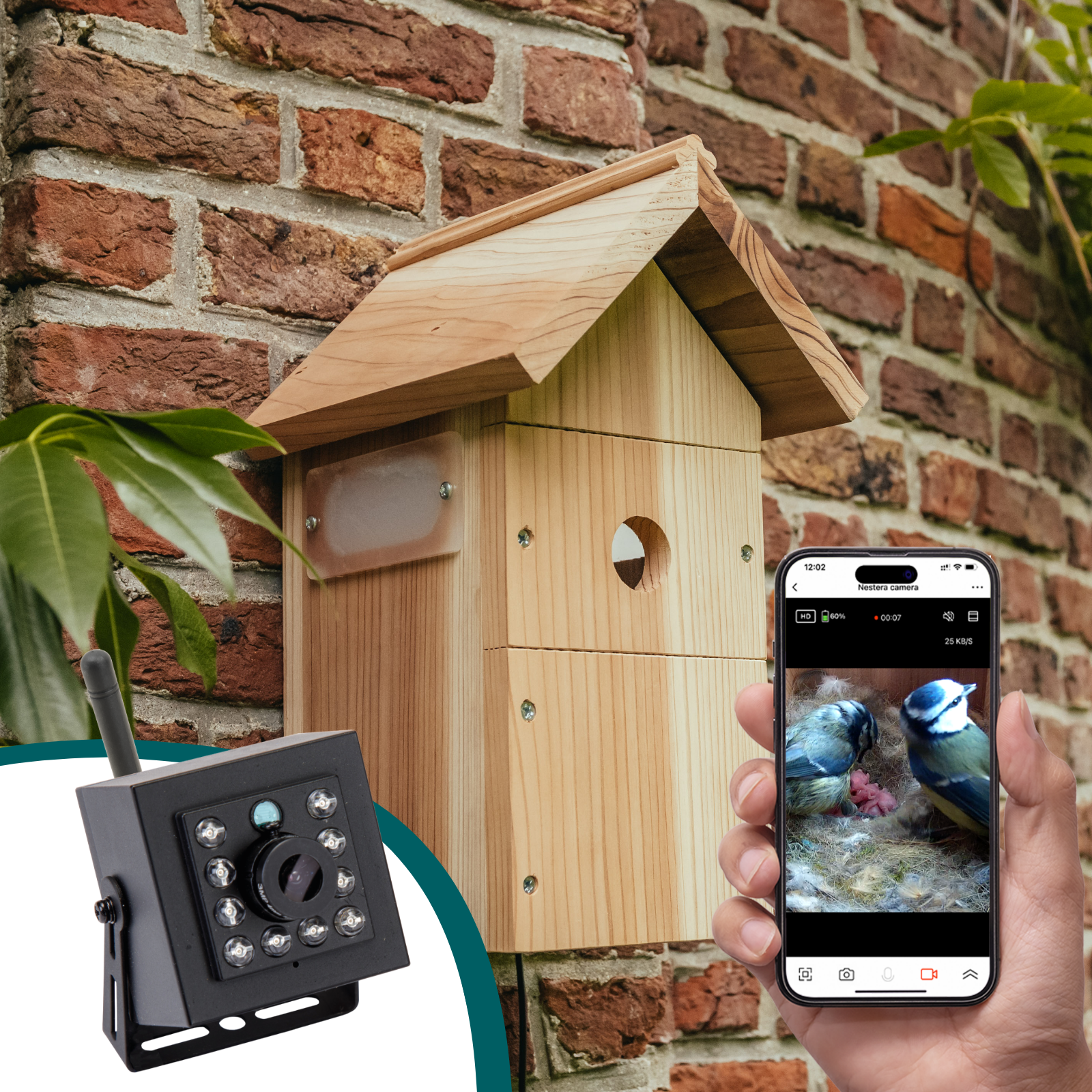 Bird boxes hot sale with cameras inside