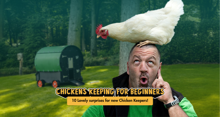 10 Lovely surprises for new Chicken Keepers!