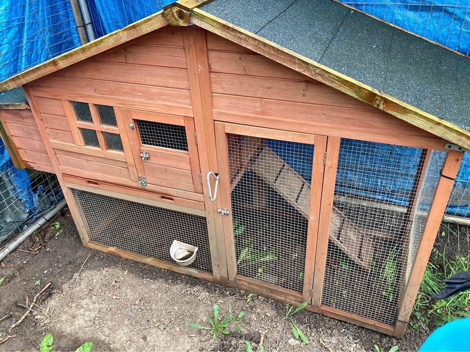 8 Reasons To Avoid Wooden Coops