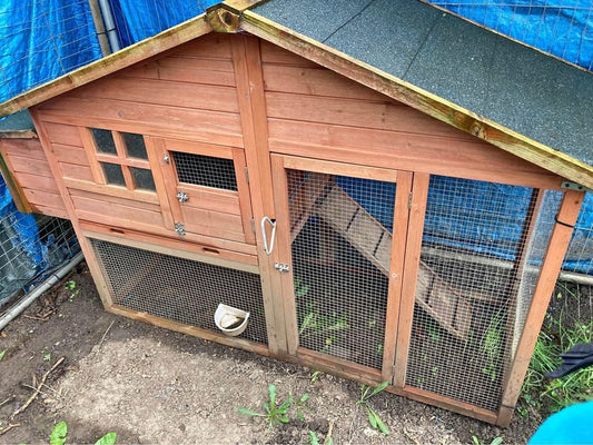 8 Reasons To Avoid Wooden Coops