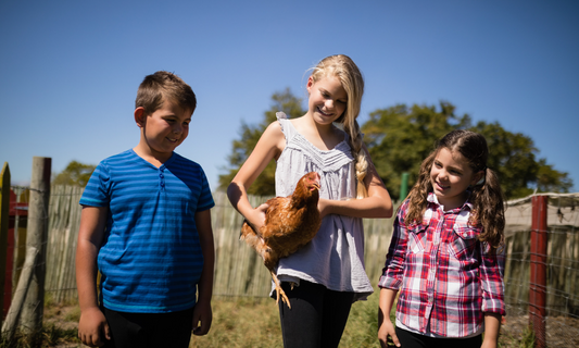 Why Chickens Make the Best Family Pets