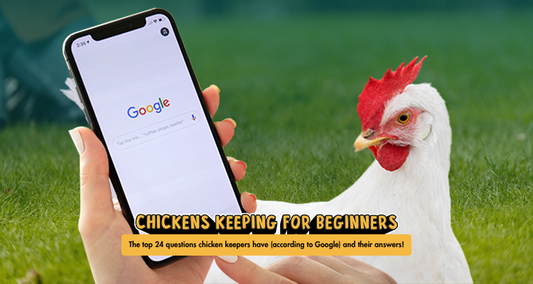 The top 24 questions chicken keepers have
