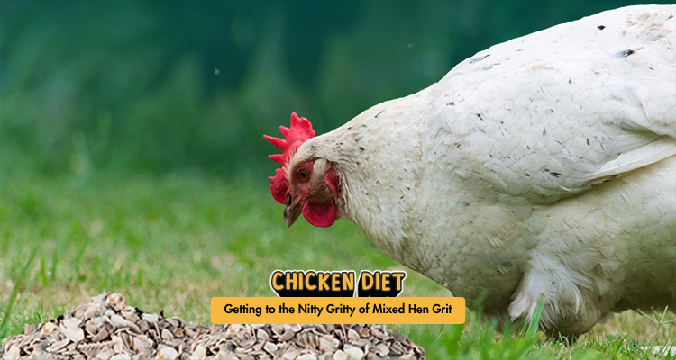 Getting to the Nitty Gritty of Mixed Hen Grit