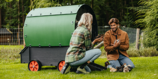 10 Benefits of Chicken Keeping