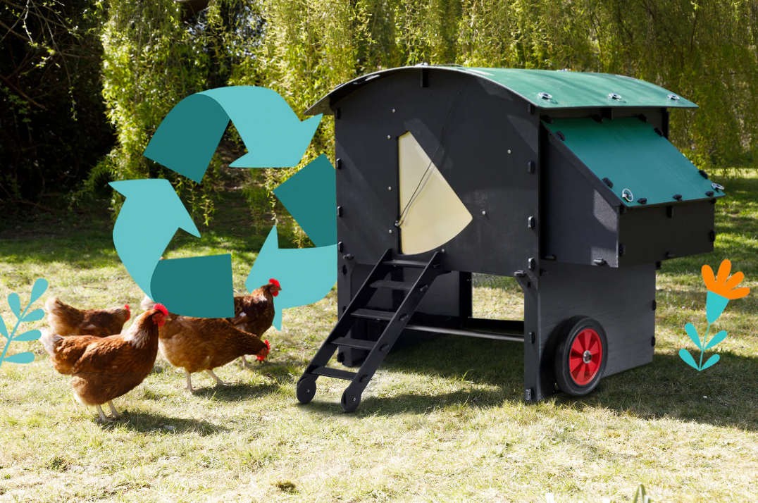 Why Choose a Plastic Chicken Coop?