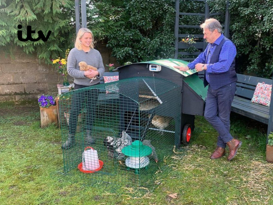 Nestera Raised Coop Featured on ITV's Love Your Weekend