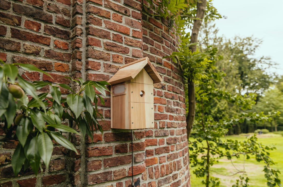 These are the birds that will visit your bird box this season