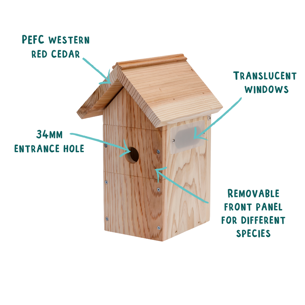 WiFi Bird Box Camera System