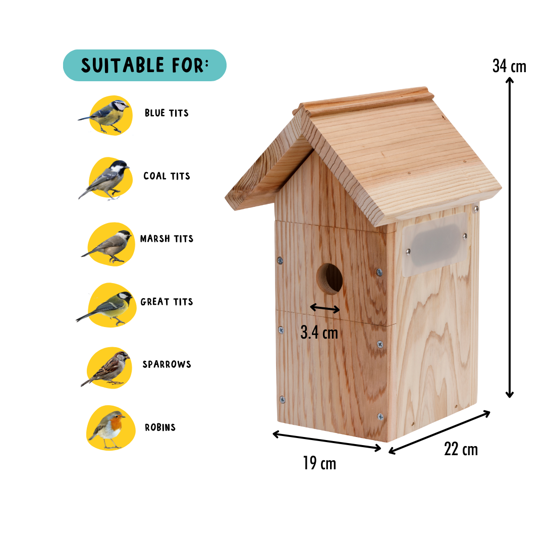 Lidl bird online box camera