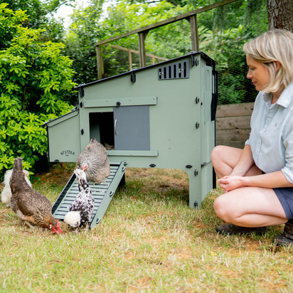 Run For Aspen Chicken Coop