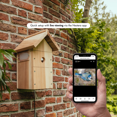 WiFi Bird Box Camera System