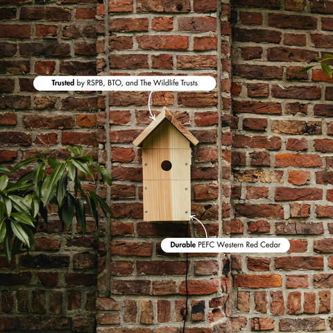 WiFi Bird Box Camera System