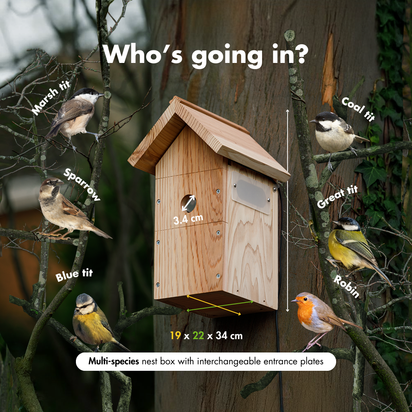 WiFi Bird Box Camera System