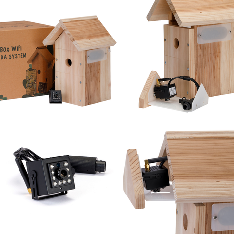 WiFi Bird Box Camera System