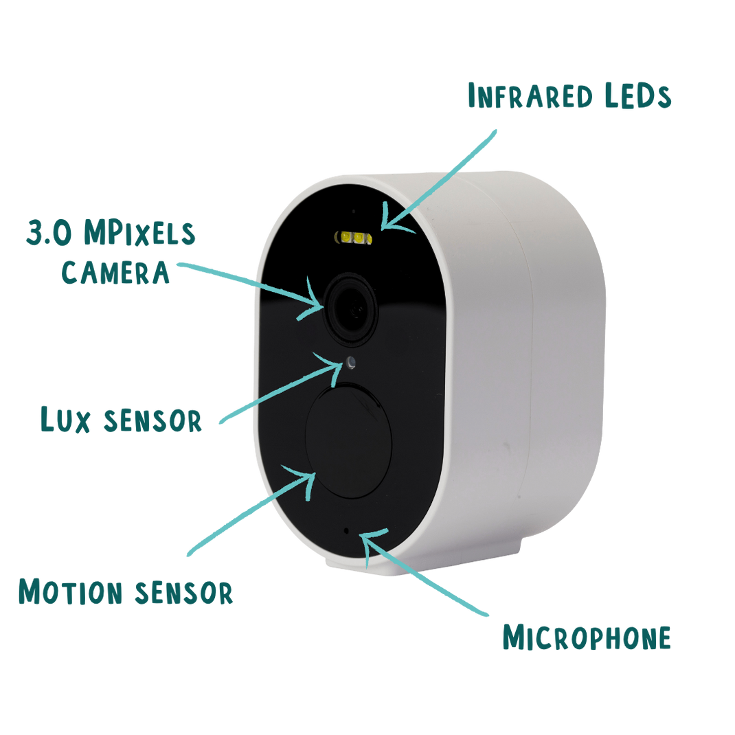 WiFi Battery Bird Box Camera with Solar Panel