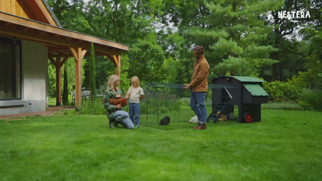 Plastic Chicken Coop EasyClean Red Mite Resistant