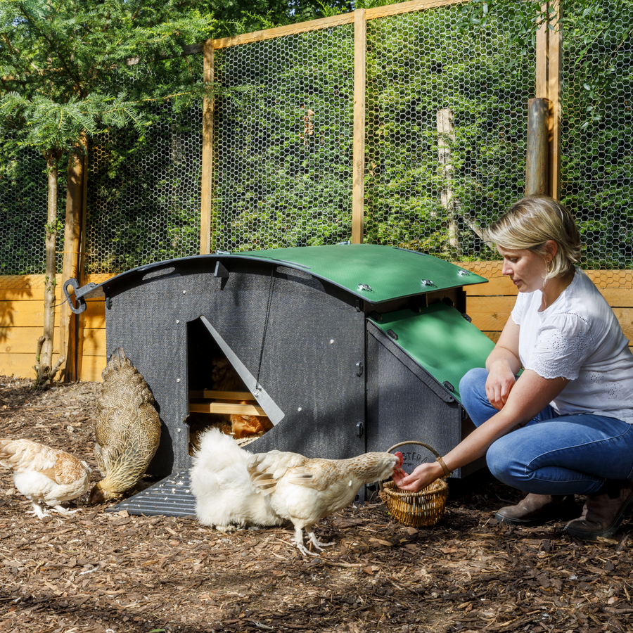 Chicken Coop