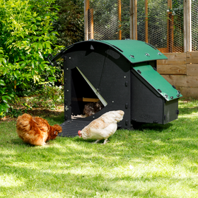 Chicken Coop
