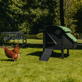 Chicken Coop