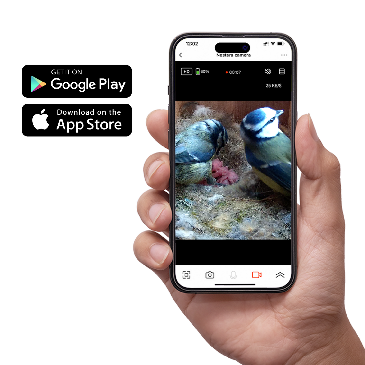 Wifi window best sale camera