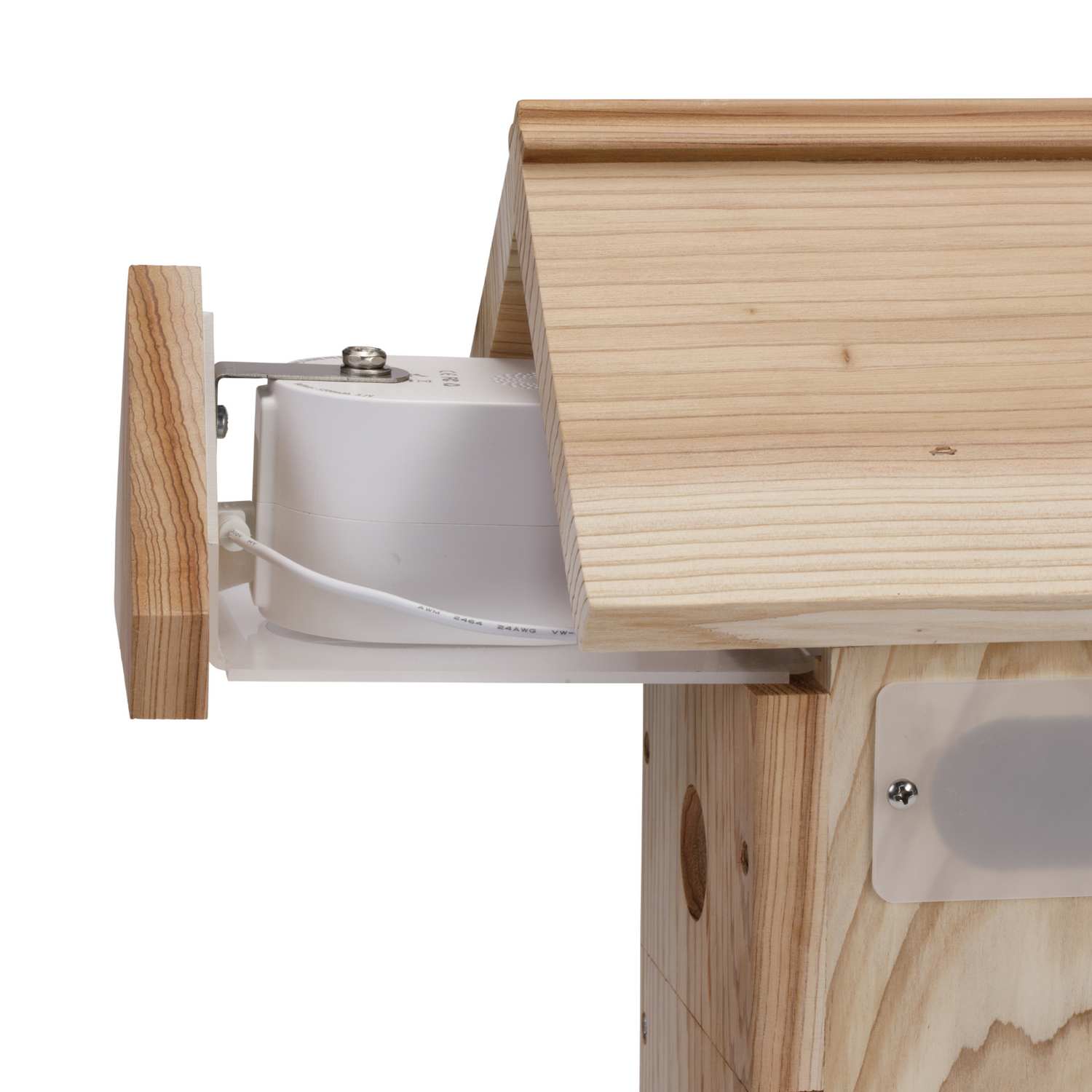 Battery powered online bird box camera