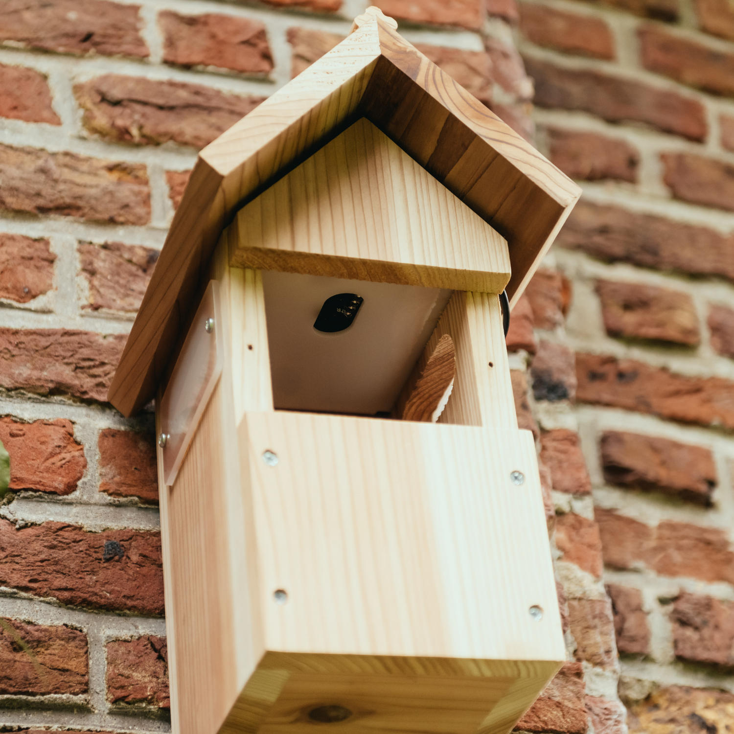Wifi bird deals box